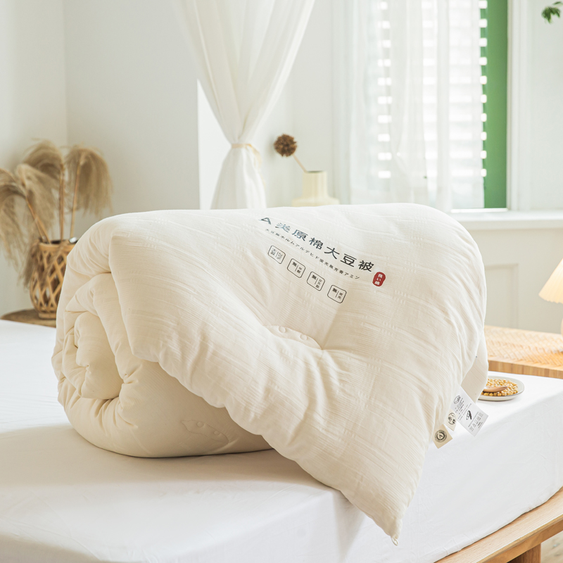 日式A类全棉被芯学生单双人加厚