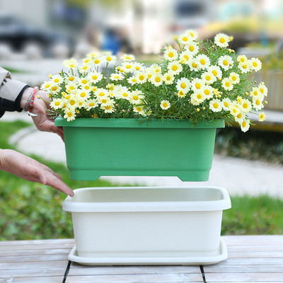 花盆菜盆种菜盆环保健康型庭院阳台专用种菜花盆耐晒抗氧化方形盆