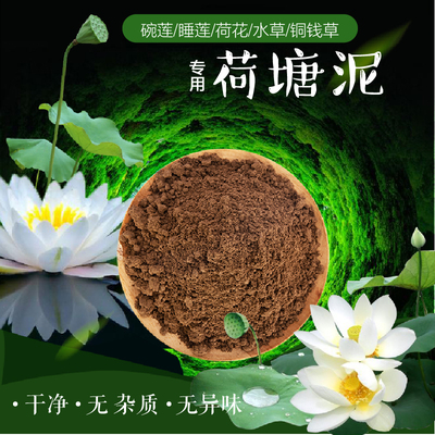 荷塘泥泥土水培铜钱草睡莲河塘泥