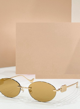 男女通用潮酷百搭遮阳墨镜