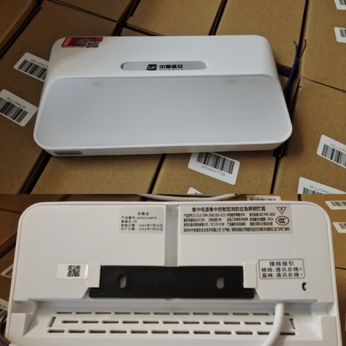 中智盛安应急灯ZS-ZUC-E5W-J306/10UX-2111集中电源集中控制型