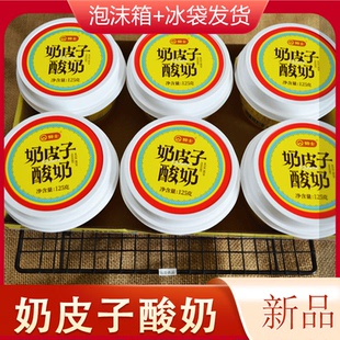 骑士奶皮子125g 内蒙经典 老式 酸奶新日期酸奶 6杯酸奶正品