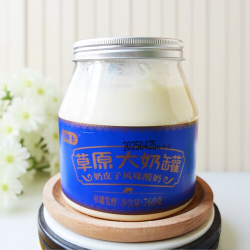 骑士草原奶皮子风味酸奶正品内蒙经典老式酸奶新日期酸奶大罐