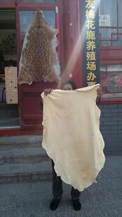 鹿场直销纯正梅花鹿皮擦车布，鹿皮巾，整张，半张