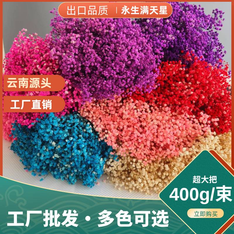满天星干花装饰摆件花束鲜花压花