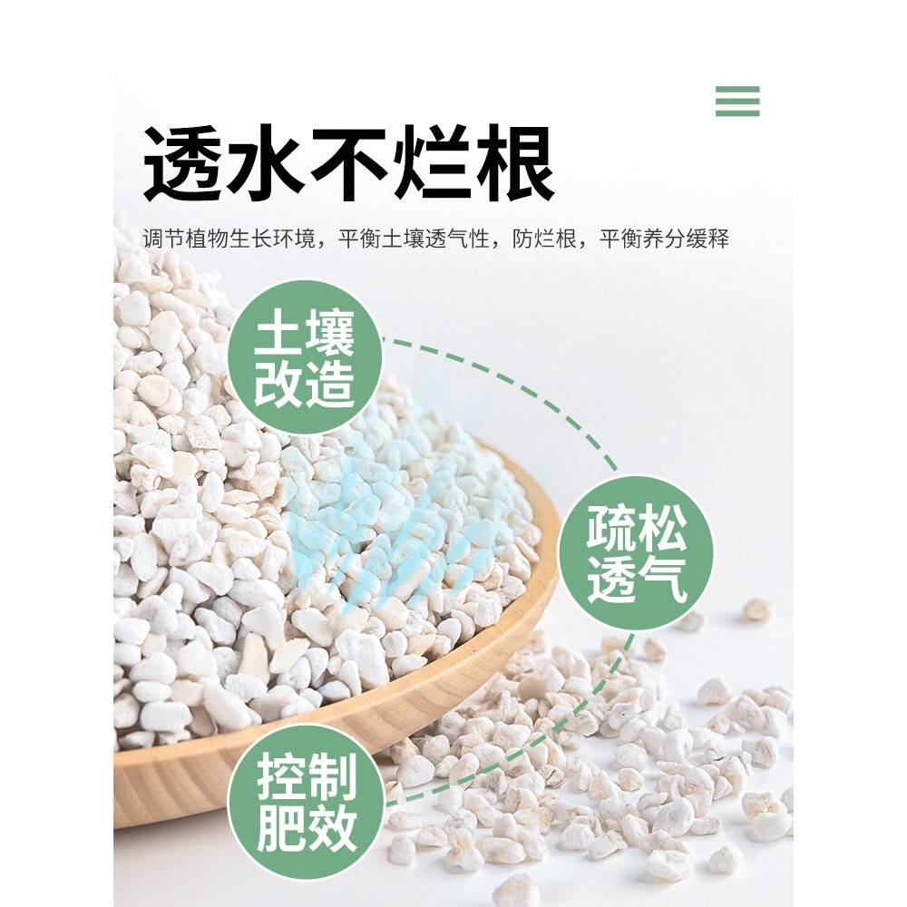 珍珠岩大颗粒养花用蛭石膨胀月季多肉兰花专用扦插园艺营养土土壤