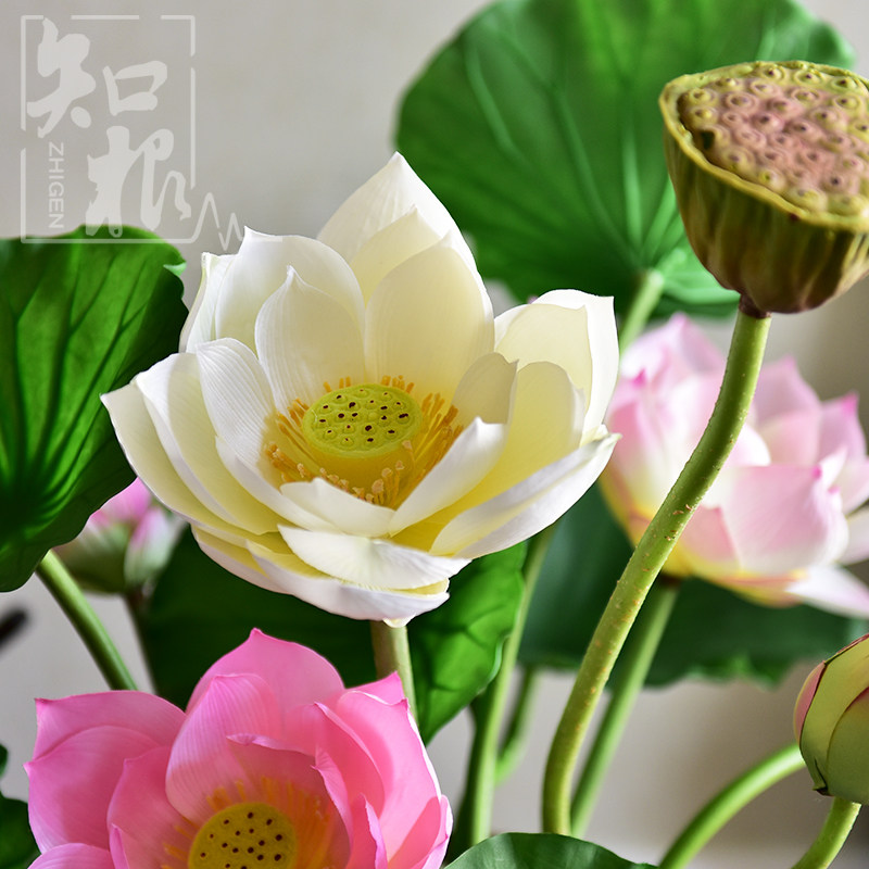 仿真花荷花荷叶莲花蓬假花绢花拍照道具 佛堂供花 客厅水池装饰花