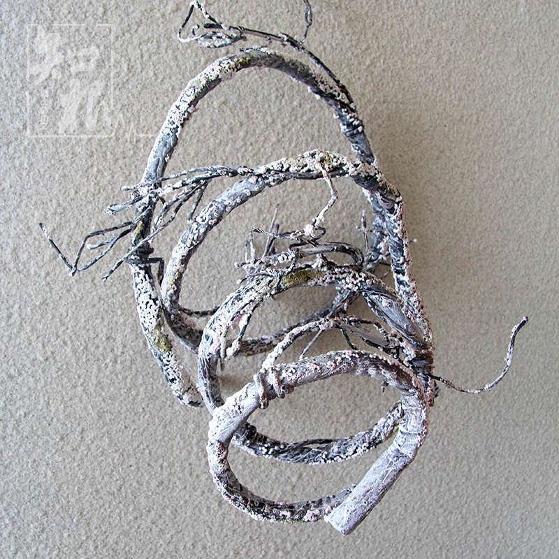 仿真树藤 枯藤 装饰 设计材料 影楼装饰 藤条藤蔓 壁挂花艺,家居饰品,仿真花/假花,淘宝优惠券,粉丝福利购,淘宝优惠卷