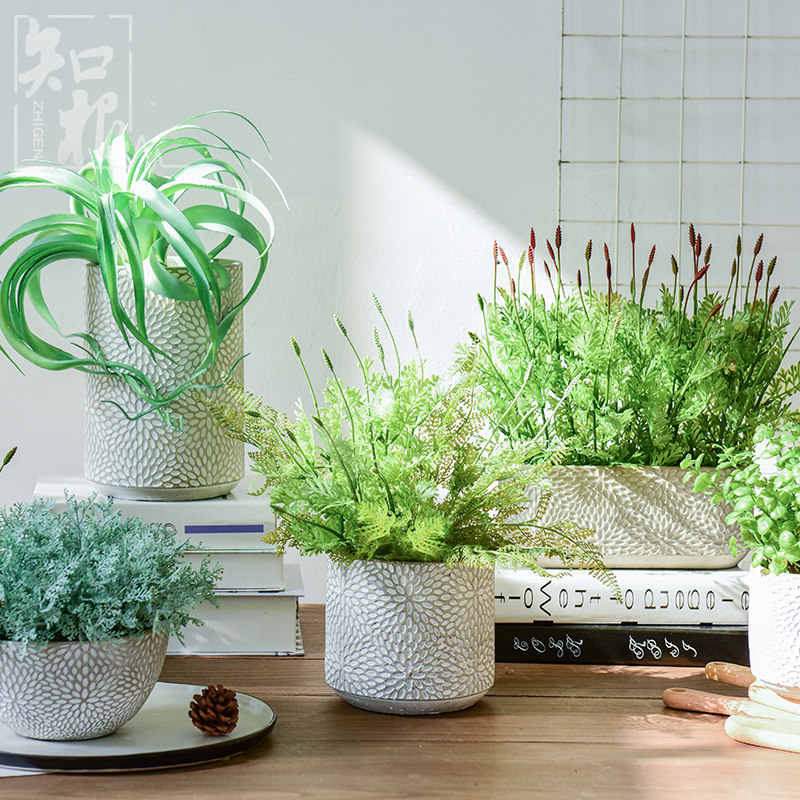 知根 北欧创意仿真绿植盆栽小摆件客厅植物假草室内摆设装饰品