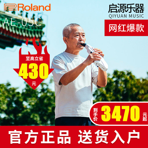 罗兰电吹管ae05c乐器大全初学者