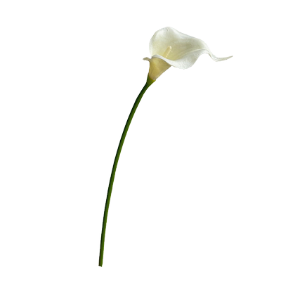 高级感仿真花马蹄莲假花