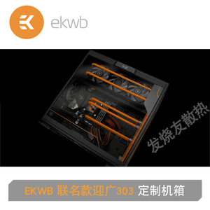 EKWB EK联名款迎广303 带前置水道版+DDC水泵 定制机箱 分体水冷