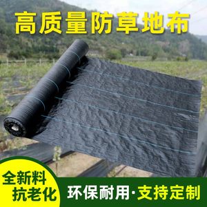 新型防草布除草布农用遮草盖草布果园防草布加厚大棚园艺地布片