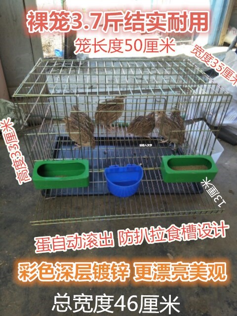鹌鹑鸟笼子 加粗自动滚蛋家用产蛋鹌鹑笼子|ruв категории животное/Животное питание и принадлежностей, птиц и принадлежностей, клетка - от Buy2taobao.com для оказания профессиональной услуги покупки агента Taobao