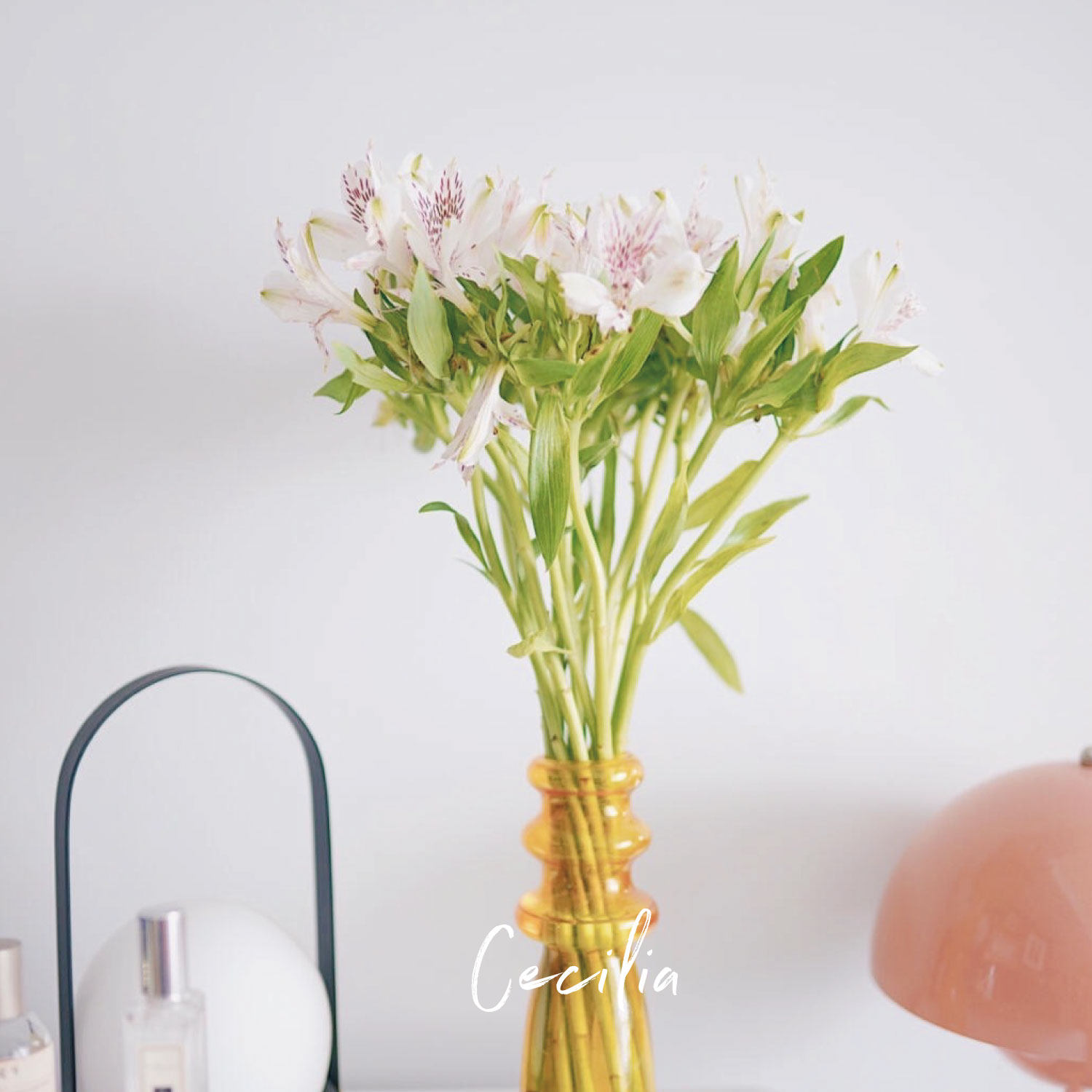 cecilia 水仙百合六出花鲜花花束 家庭办公插花 云南基地空运直发