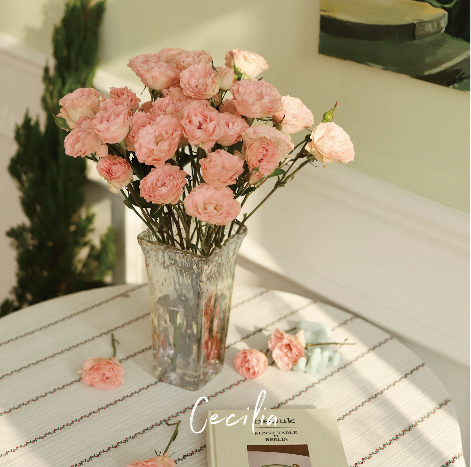 cecilia 人鱼公主多头玫瑰鲜切花 清新粉嫩卷边水养 云南基地直发