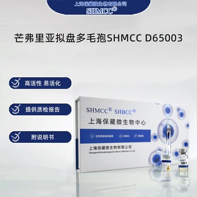 芒弗里亚拟盘多毛孢SHMCC D65003 0代标准菌种冻干粉