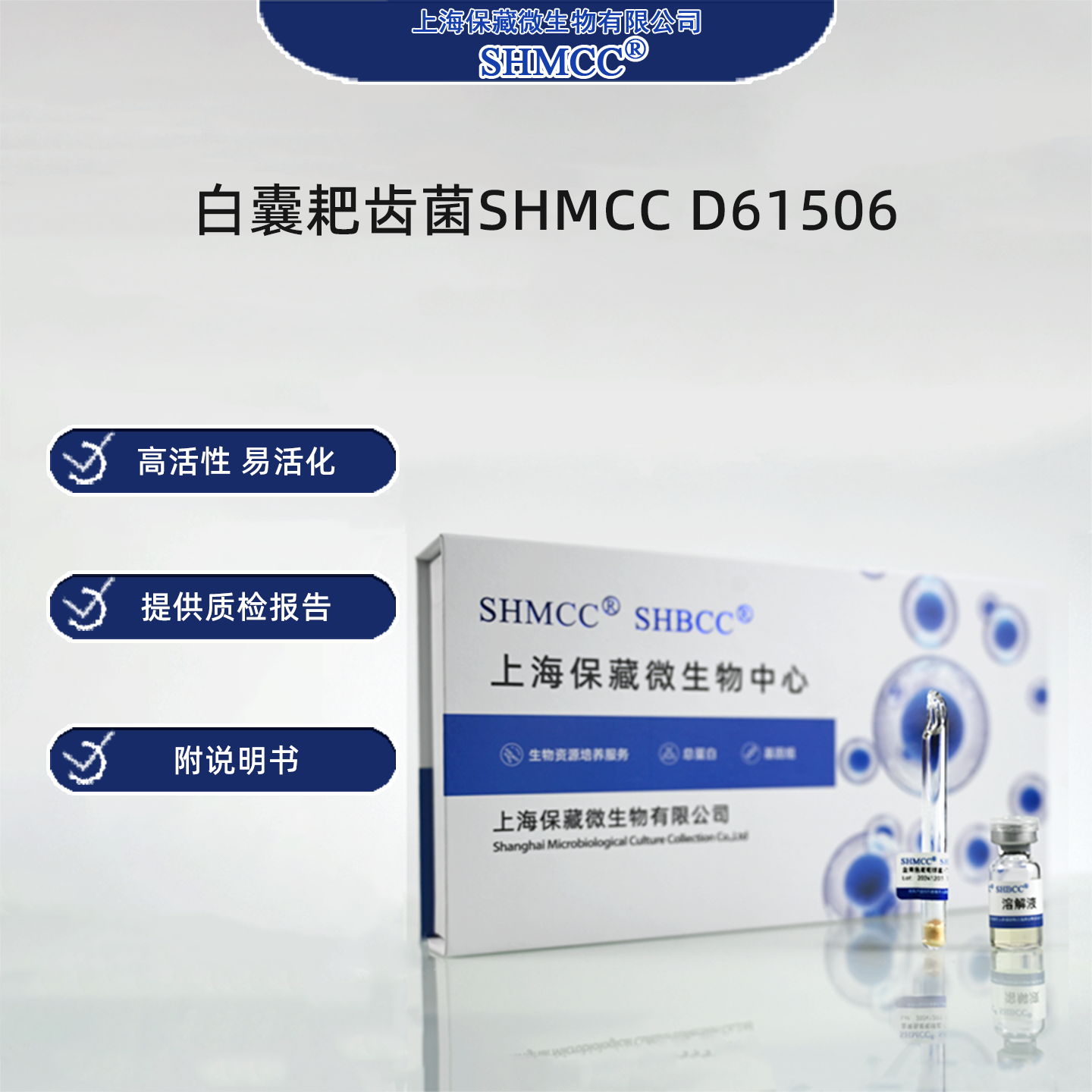 白囊耙齿菌SHMCC D61506 0代标准菌种冻干粉