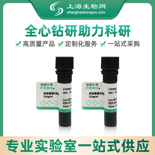 抗生素 两性霉素B溶液,10mg/ml,1ml,进口分装