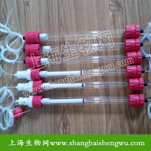 普通层析柱 55mm直径 转接头 凝胶层析柱 蛋白纯化 琼脂糖 葡聚糖