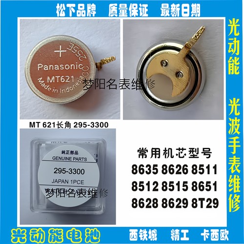 295-3300MT621Citizen/西铁城