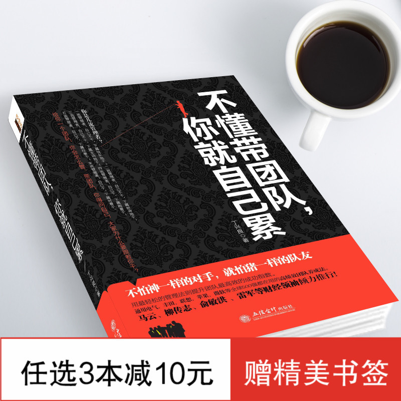 企业管理书籍 畅销书 不懂带团队你就自己累 管理书籍说话技巧 人力资源管理书籍 思维导图书籍管理经营影响力 团队管理书