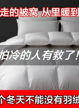 冬被被芯春秋被加厚被子秋冬被