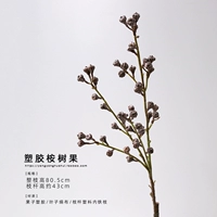 Eucalyptus Fruit Big Branches/1 ветвь
