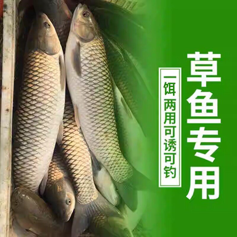 渔家傲青草风暴草鱼饵料
