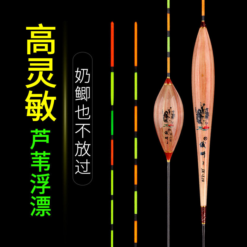 芦苇浮漂高灵敏抗走水鲫鱼漂