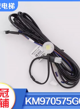 拉把电梯配件新款LED轿厢应急照明灯KM970575G04应急灯头适用通力