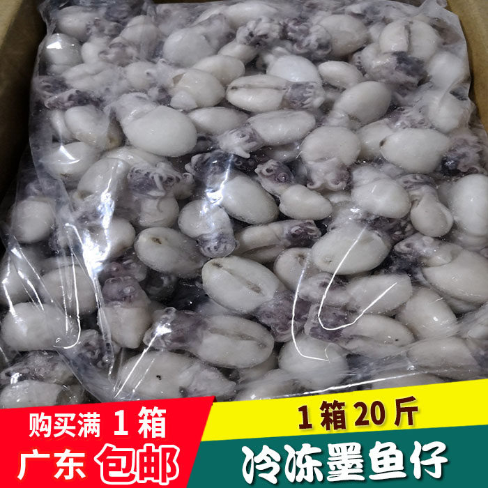 墨鱼仔 海鲜鲜冻籽乌 鲜活 冷冻去内脏目鱼仔20斤/件 5成货