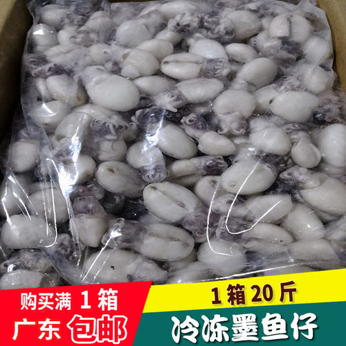 墨鱼仔 海鲜鲜冻籽乌 鲜活 冷冻去内脏目鱼仔20斤/件 5成货