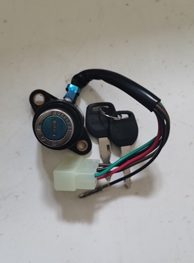 适用本天王CBT125嘉陵本天 春兰豹125 CL125-2 电门锁 车头锁 6线