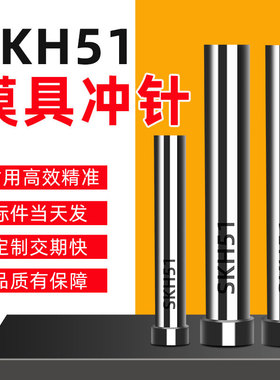 模具冲针冲头SKH51加硬T型圆柱杆五金模具冲压孔配件非标定制做