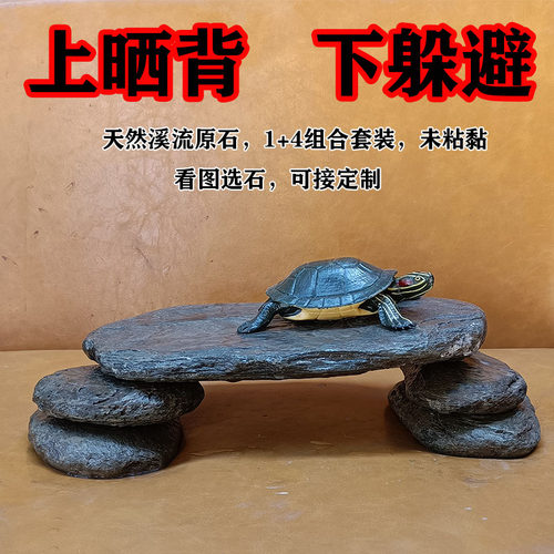 真石头乌龟晒背台躲避洞爬梯