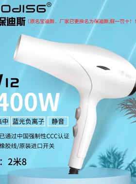 保迪斯宝迪斯W12电吹风机家用大功率冷热风理发店男女通用2400W