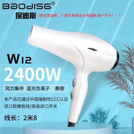 保迪斯宝迪斯W12电吹风机家用大功率冷热风理发店男女通用2400W