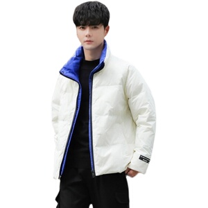 2021电商B247冬季新白鸭绒保暖立领羽绒服时尚外套男装9328-P160图片
