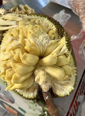 广西湿苞菠萝蜜整个果3-10斤老树原生树不嫁接本地湿包木菠萝