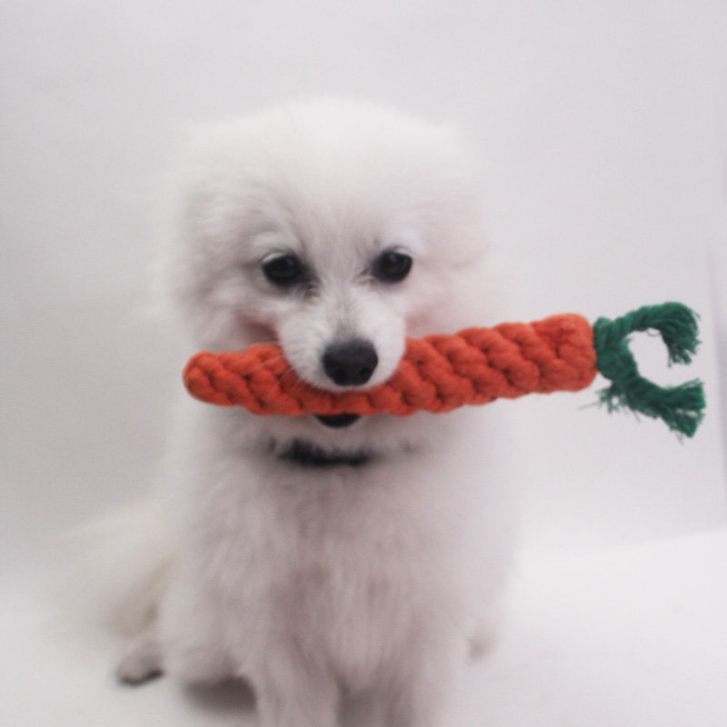 包邮发泄玩具宠物玩具胡萝卜玩具狗狗玩具 宠物棉绳玩具狗用品