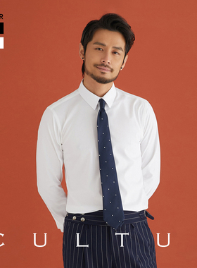 CULTUM免烫易打理修身长袖衬衫男上班商务绅士西服职业正装衬衣薄