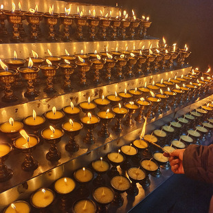 12.20西藏拉萨酥油灯供佛长明灯纯铜供灯礼佛灯百盏灯