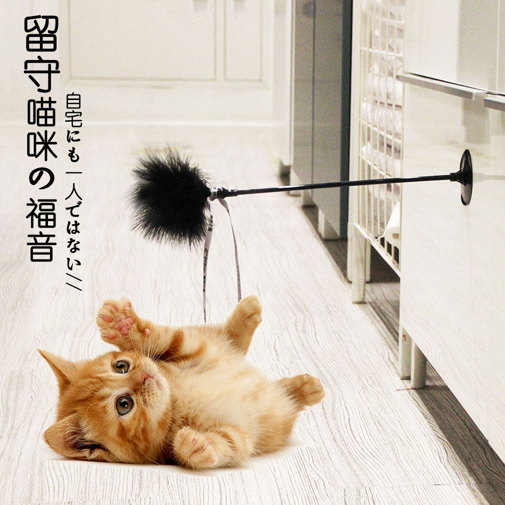 佩格吸盘羽毛逗猫棒幼猫咪自玩逗猫玩具用品底部固定火鸡毛逗猫棒|ruв категории животное/Животное питание и принадлежностей, кошка/собака игрушка, дразнить кошка стержень - от Buy2taobao.com для оказания профессиональной услуги покупки агента Taobao