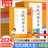 53小学基础练句式训练大全哪里买的?