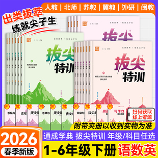 2026春新版小学拔尖特训同步训练习册