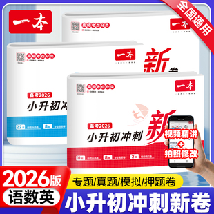 备考2026新版一本小升初冲刺新卷语文数学英语通用版 六年级上下册小学升初中总复习重点资料专项训练期末真题模拟测试卷知识汇总