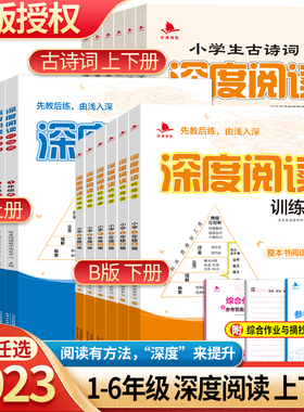 2023新版深度阅读训练册A版B版小学一二三四五六年级语文上下册课外同步练习册123456年级阅读理解小学生古诗词深度阅读复习辅导书