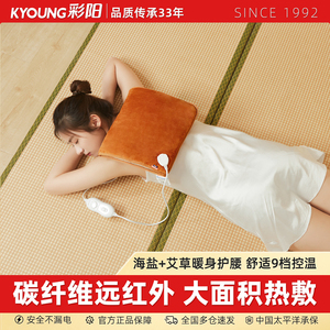 【彩阳旗舰店】石墨碳纤维电热盐袋热敷毯