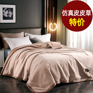 9斤毛毯被子秋冬季用加厚双人盖云毯双层铺床垫拉舍尔珊瑚绒保暖